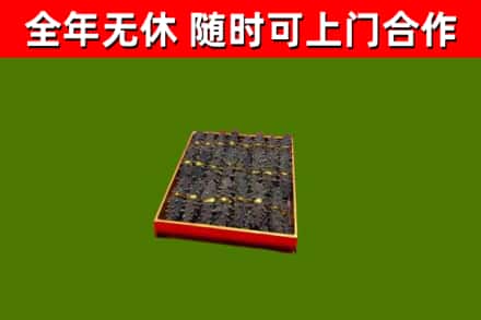 建华回收海参